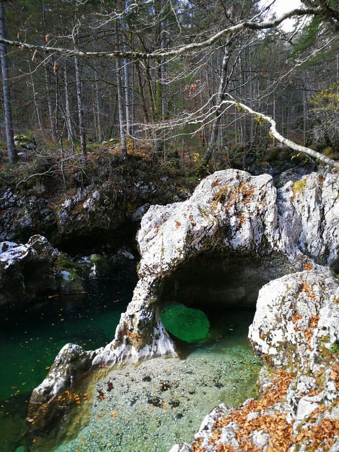 Planika B&M Bohinj Exterior foto