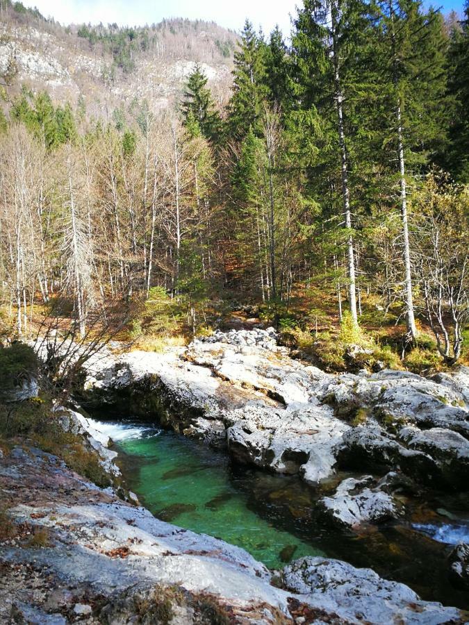 Planika B&M Bohinj Exterior foto