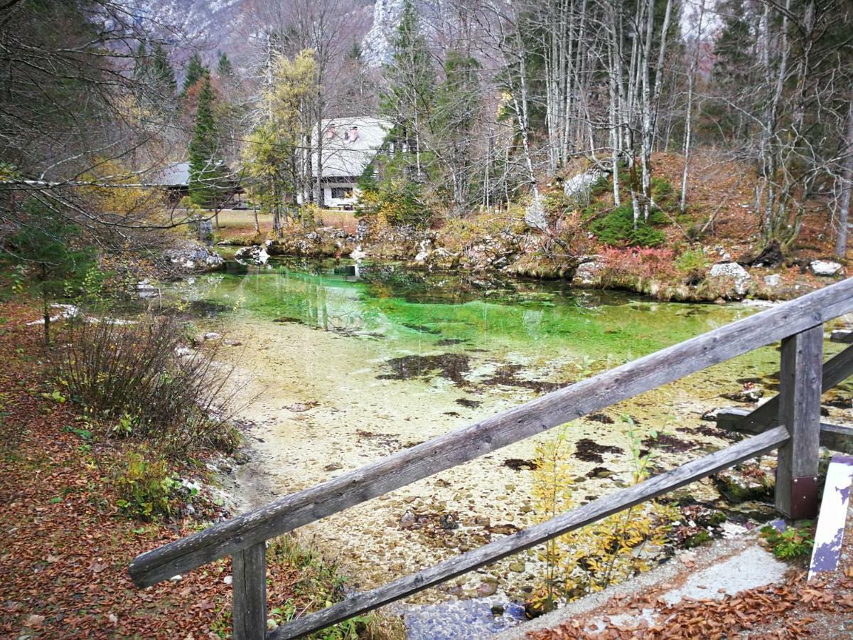 Planika B&M Bohinj Exterior foto