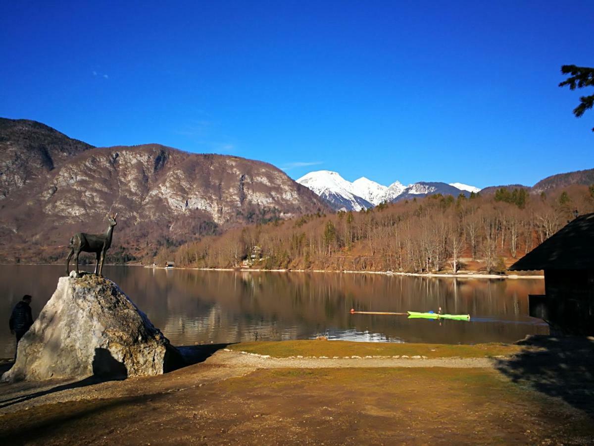 Planika B&M Bohinj Exterior foto